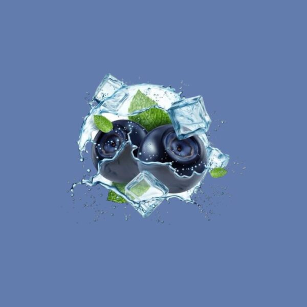 NATA DE COCO DRINK - BLUEBERRY (PACK OF 3) - Image 2